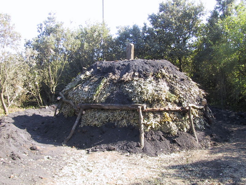 Construction-d-une-charbonniere