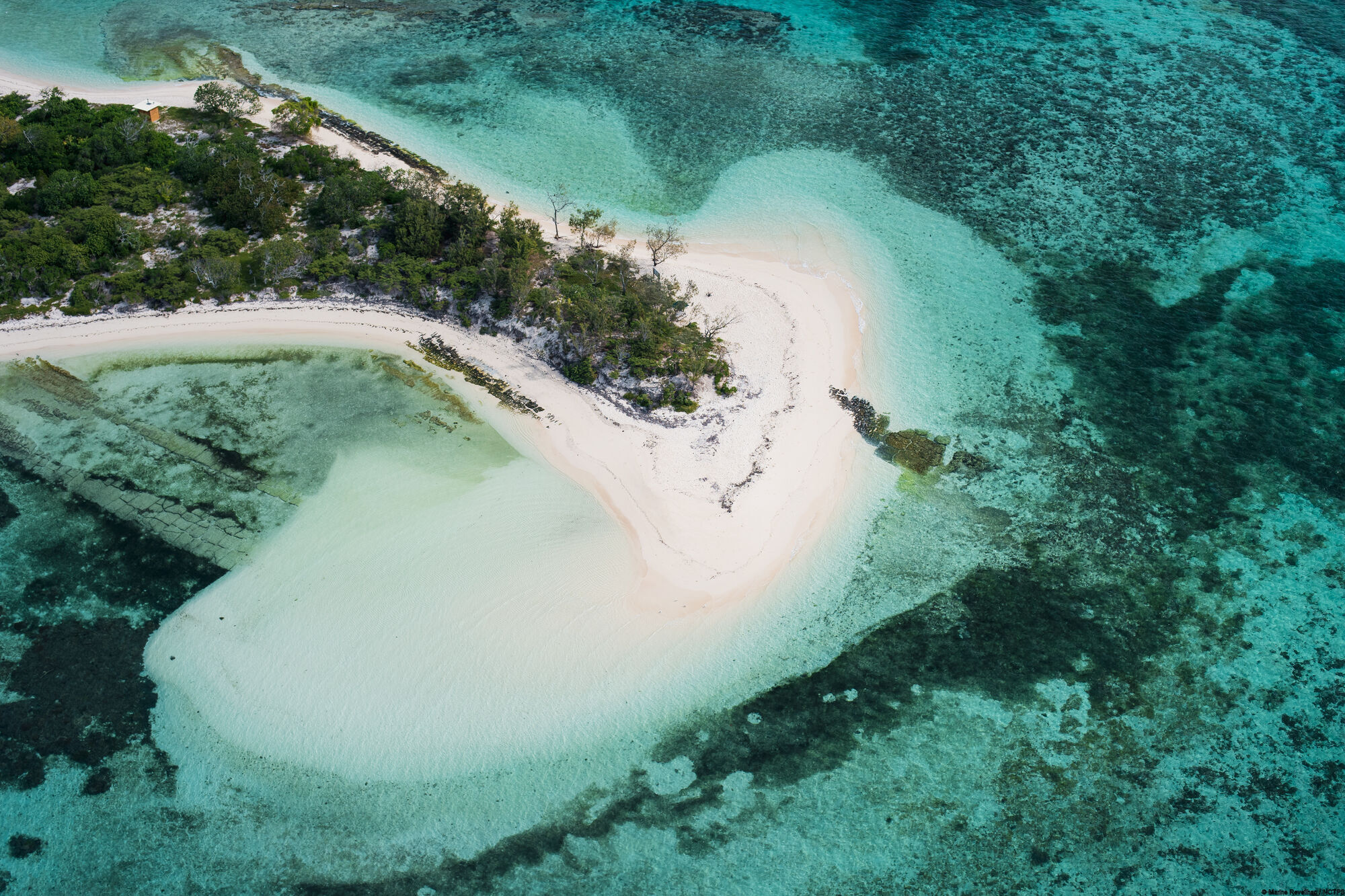 Larégnère Islet - Noumea