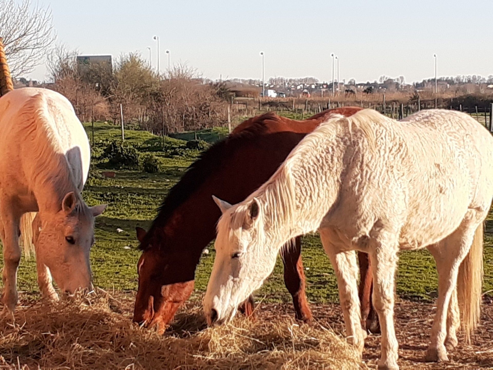 Petite maison à la campagne - photo 2