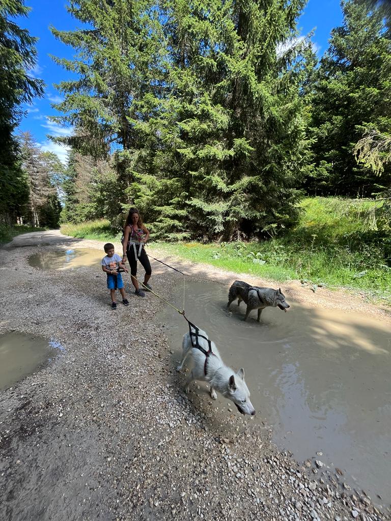 Cani-rando avec Symbiose