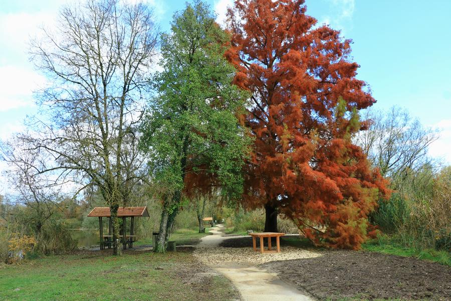 Balade en fauteuil ou poussette aux étangs de la Serre_Arandon-Passins