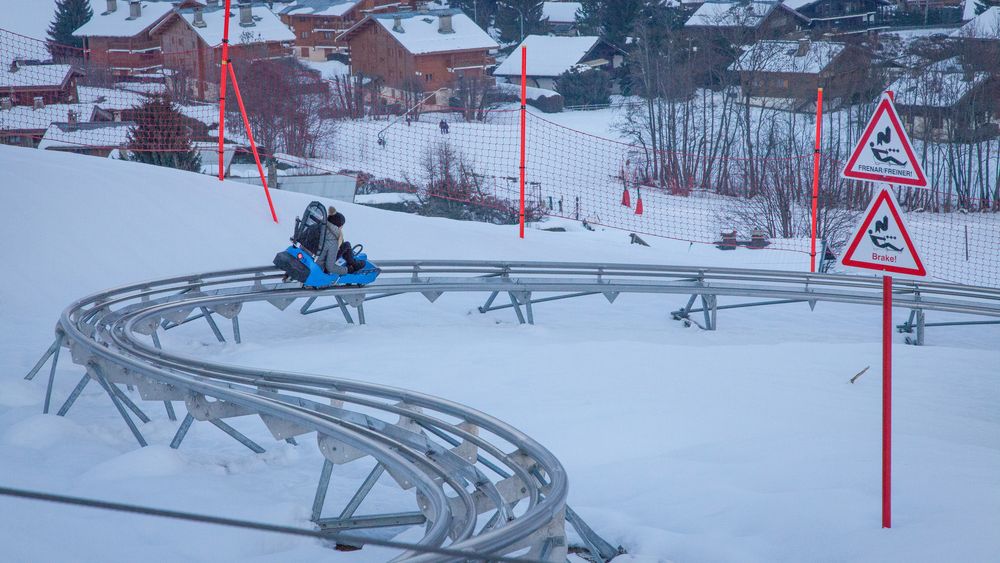 Luge 4 saisons