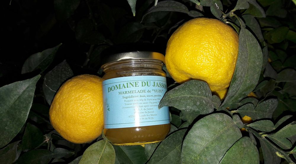 Domaine du Jasson