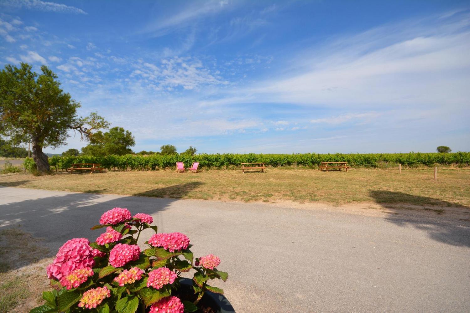 La Pitcholine, Meyrargues - photo 48