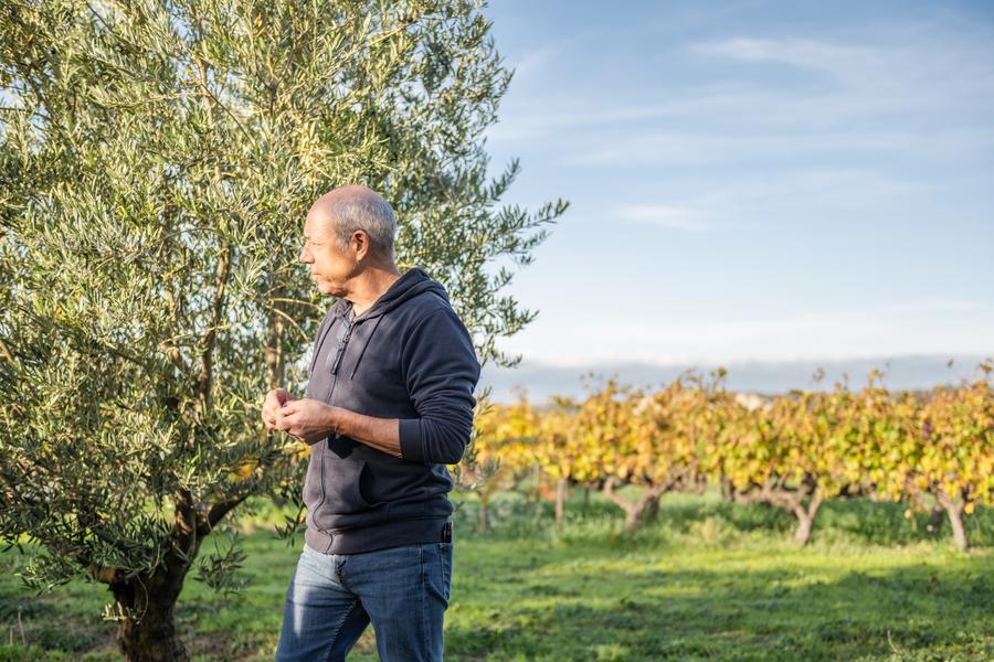 Dégustation d'huile d'olive à la boutique 