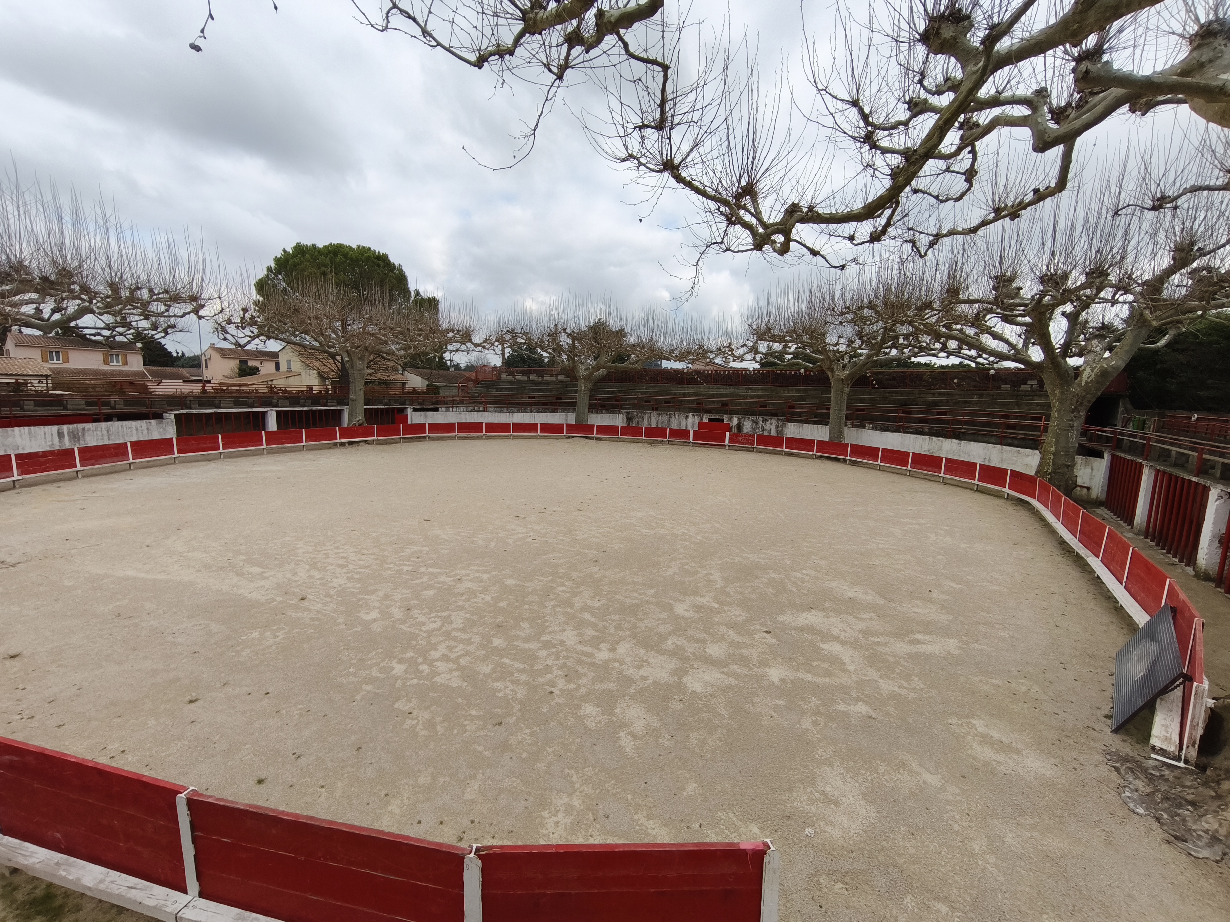 Arènes Francis Chaine - Paluds de Noves, Noves - photo 4