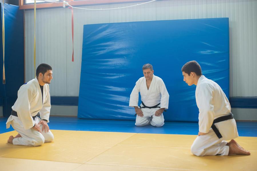 Porte ouverte au judo