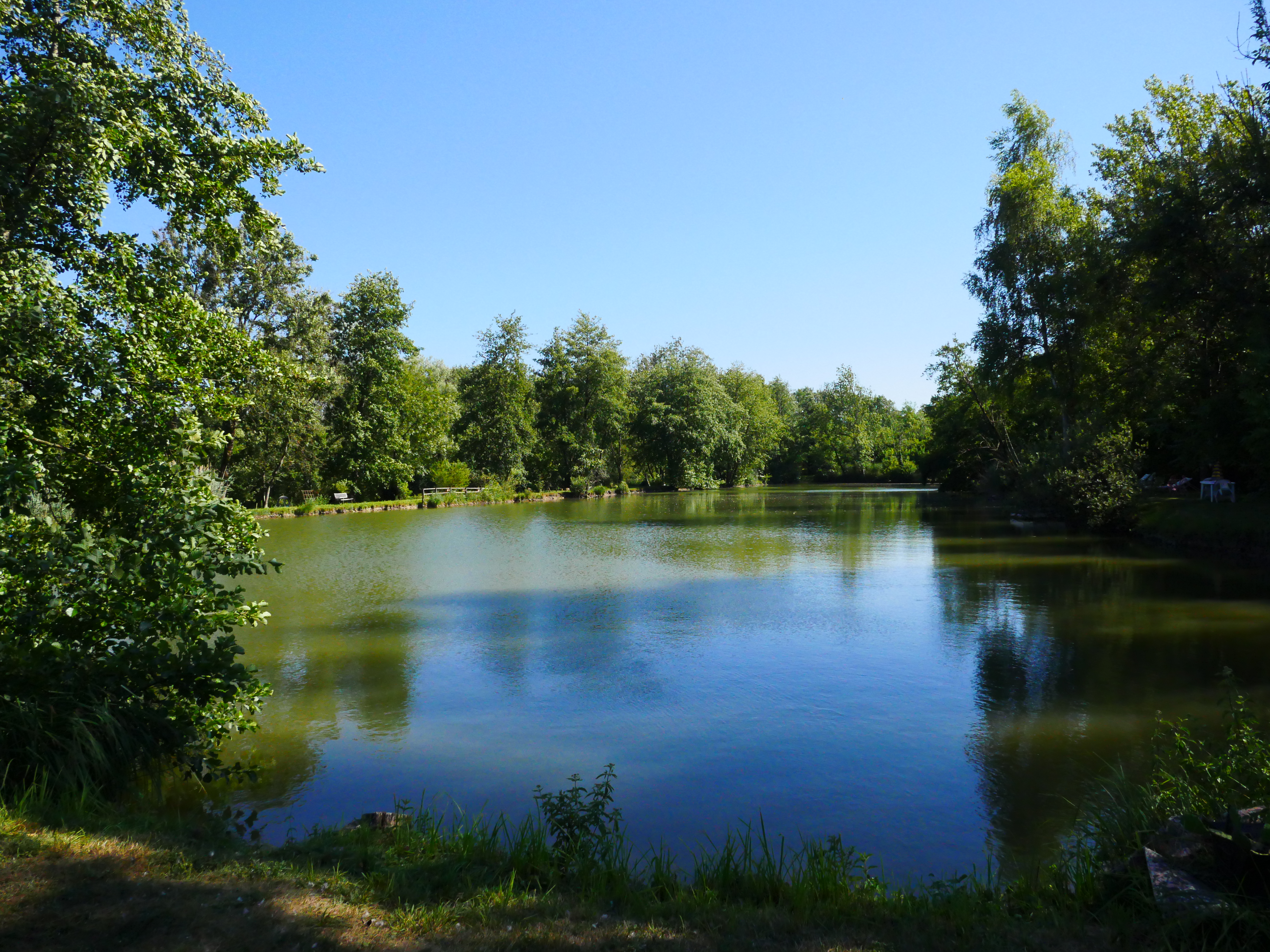 Etang du Sorbier