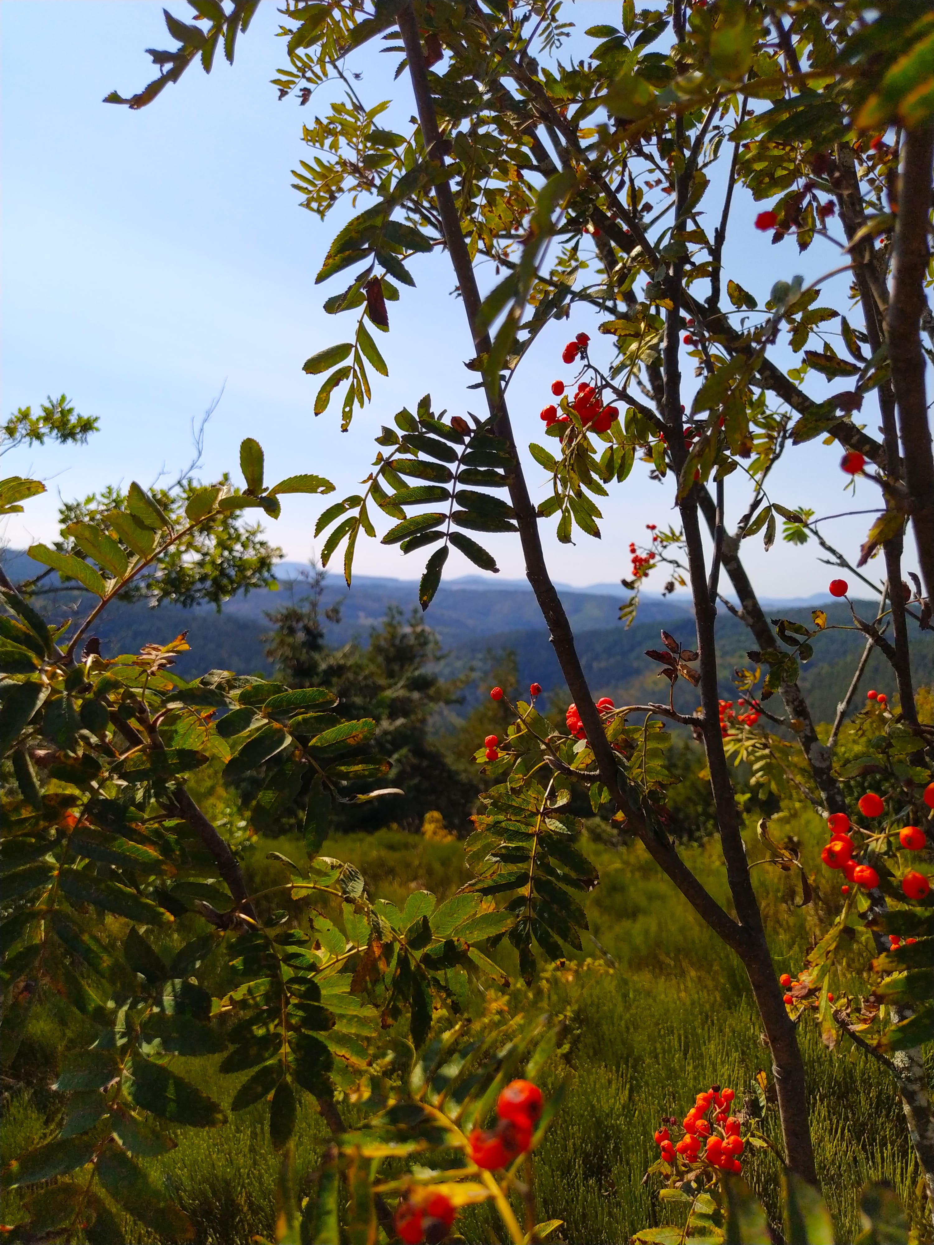 Rando  "Terre et Nature"