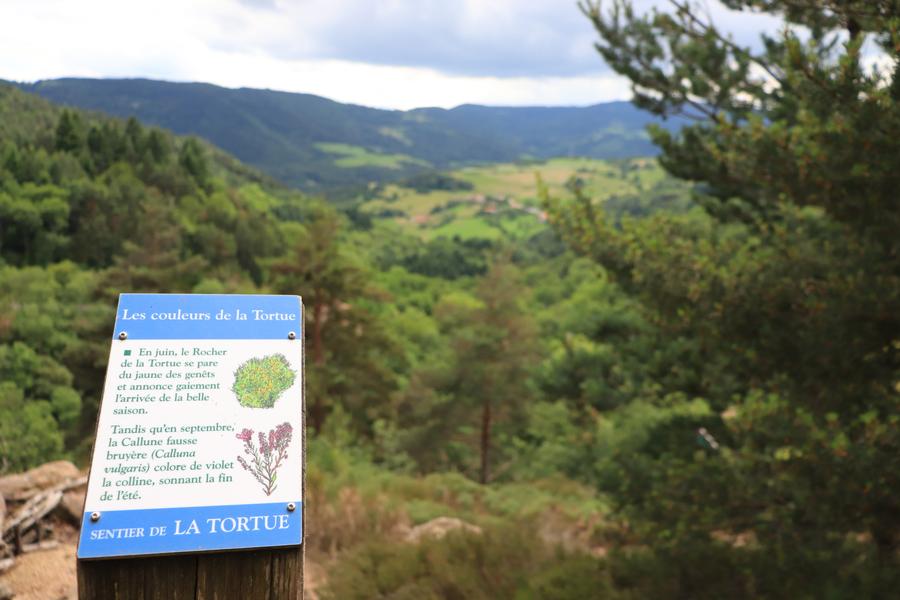 Sentier d'interprétation de la Tortue - boucle de 700m_Bourg-Argental