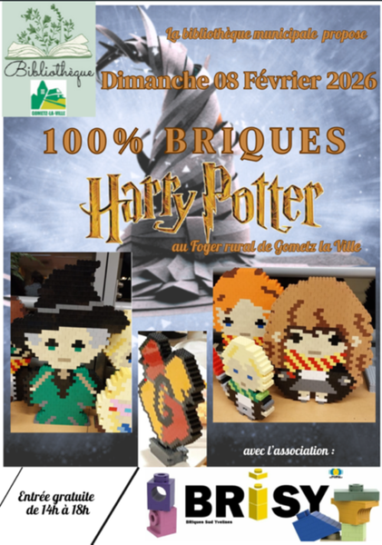 Briques Harry Potter