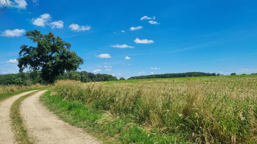 Circuit VTT-VTC n°13 (rouge)  - Les chemins de St Jean_Montrevel-en-Bresse