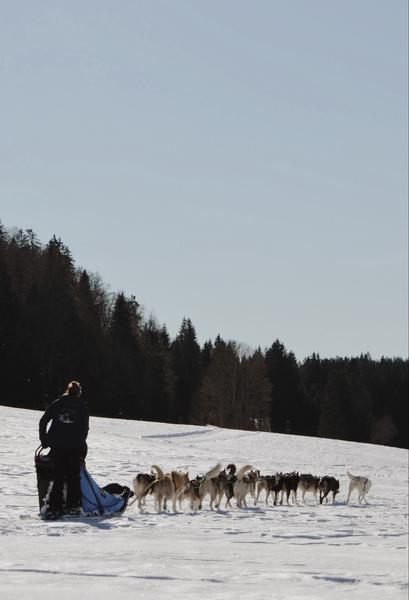 Chalet des Sibériens - Raid 2 jours