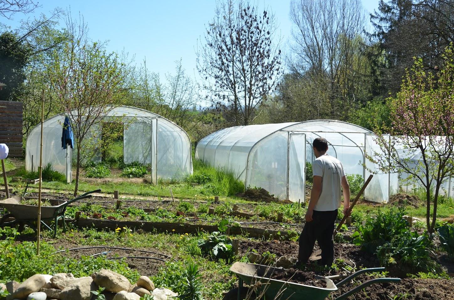 Serres du potager