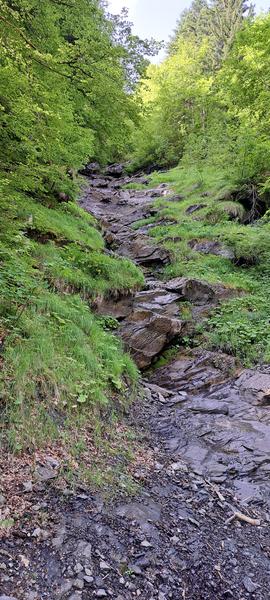 Balade au Pont de la Flée - sentier pédestre_Cordon