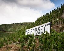 Wine Notes au Domaine De Boisseyt_Chavanay