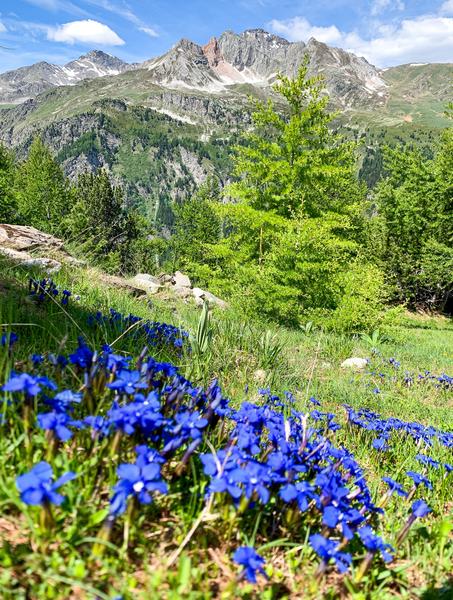 Rando sportive : la crête des Sarrasins - Festival Camp de base_Aussois
