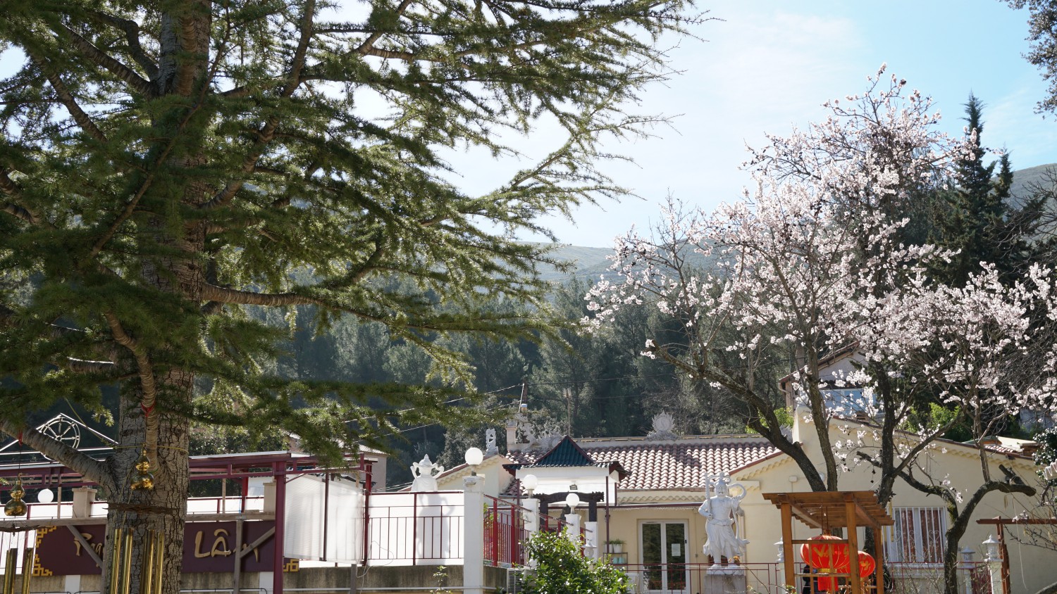 ABVF Pagode Truc Lâm, Marseille 11e Arrondissement - photo 3