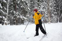 Hiver 2025/2026 - Bougez dans le Pilat - Jardin d'hiver du dimanche (pour les enfants de 5 à 12 ans)_Le Bessat