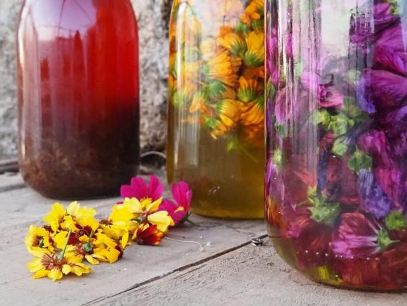 Graines & cie_Saint-Barthélemy-Grozon