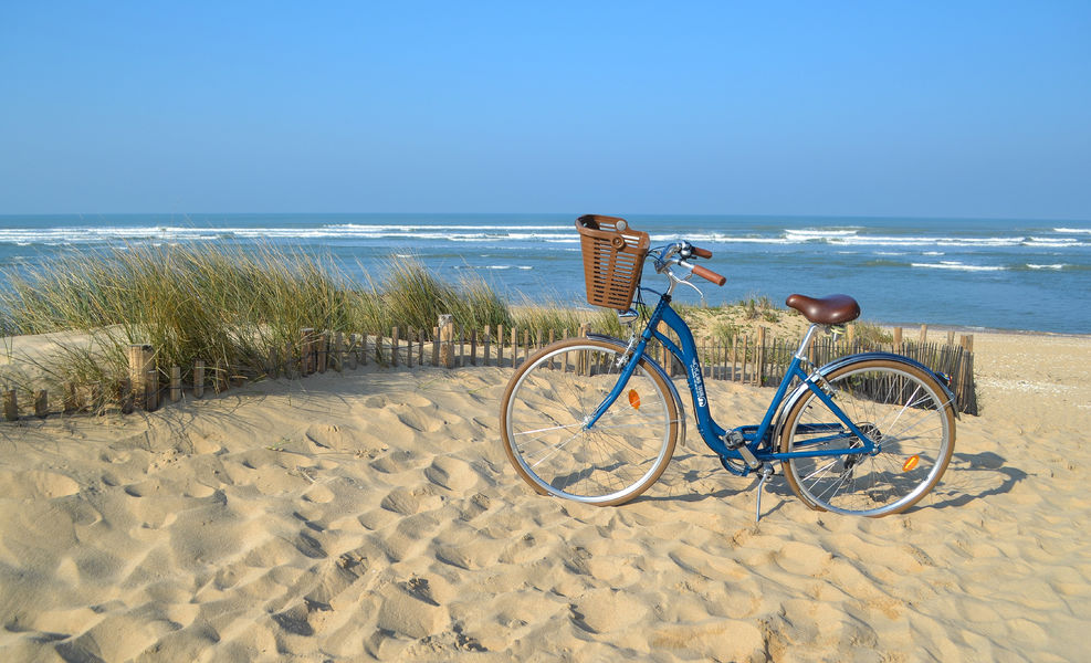 DUNES DE L'ILE DE RE