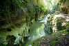 Visite guidée : Les Gorges du Sierroz