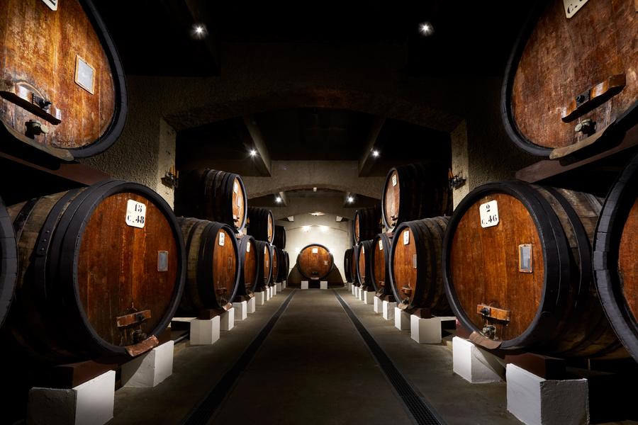 Visite des chais du Cellier des Princes_Courthézon