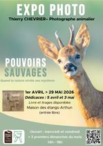 Pouvoirs sauvages - expo photo_Arthun