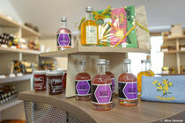 Sirop de Violette MDL