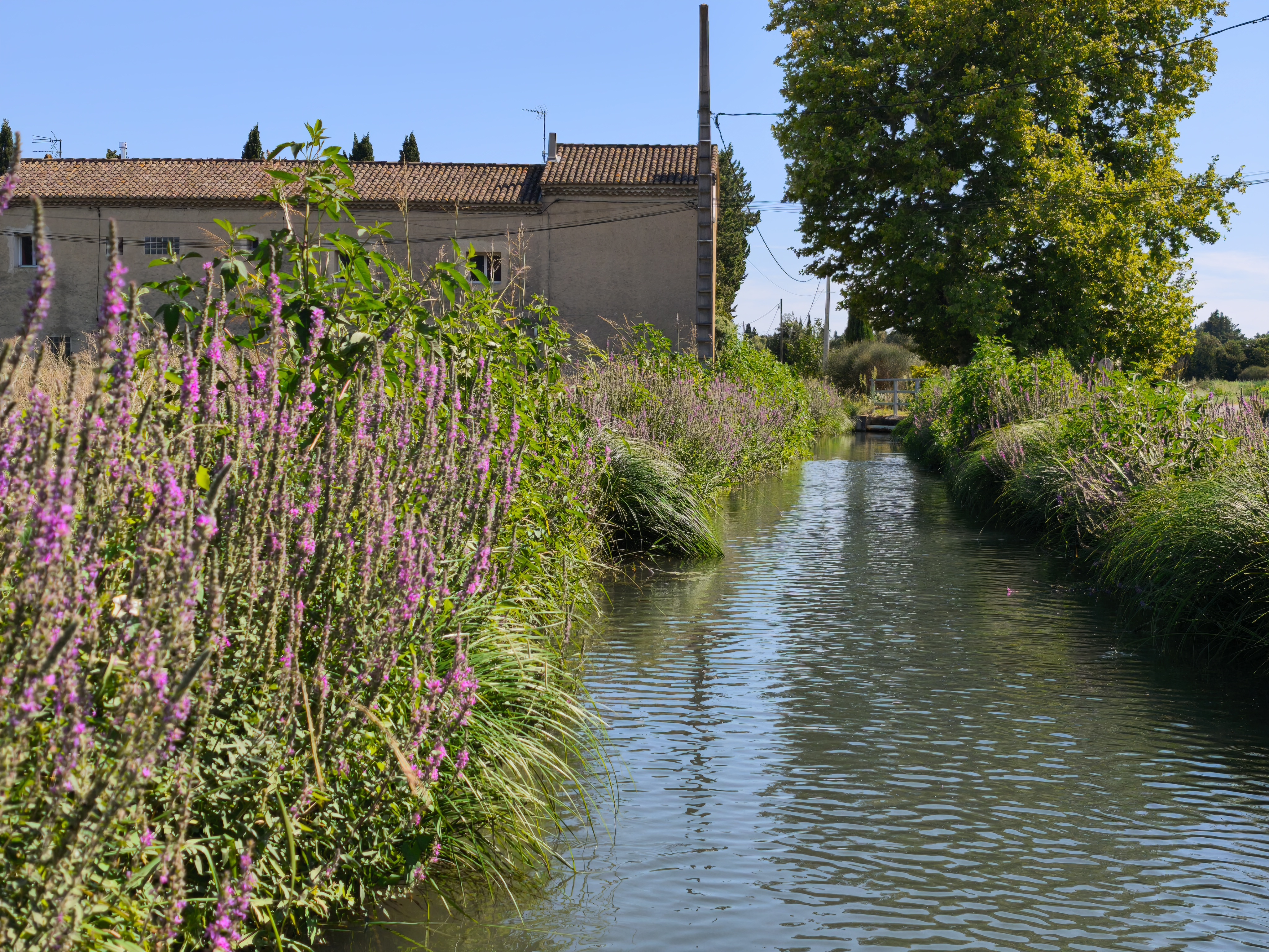 La balade des Roubines - photo 2