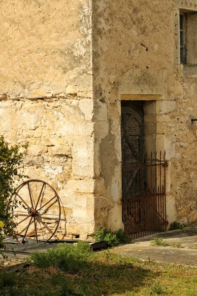 D’un trésor à l’autre : randonnée nature autour des étangs de Courtenay_Courtenay