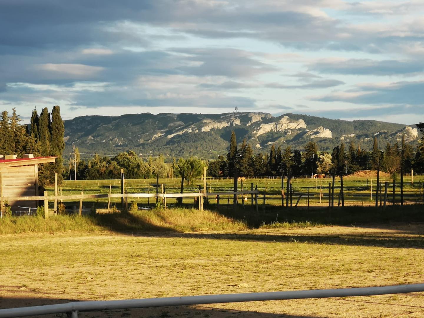 Les Ecuries de Maillane, Maillane - photo 2