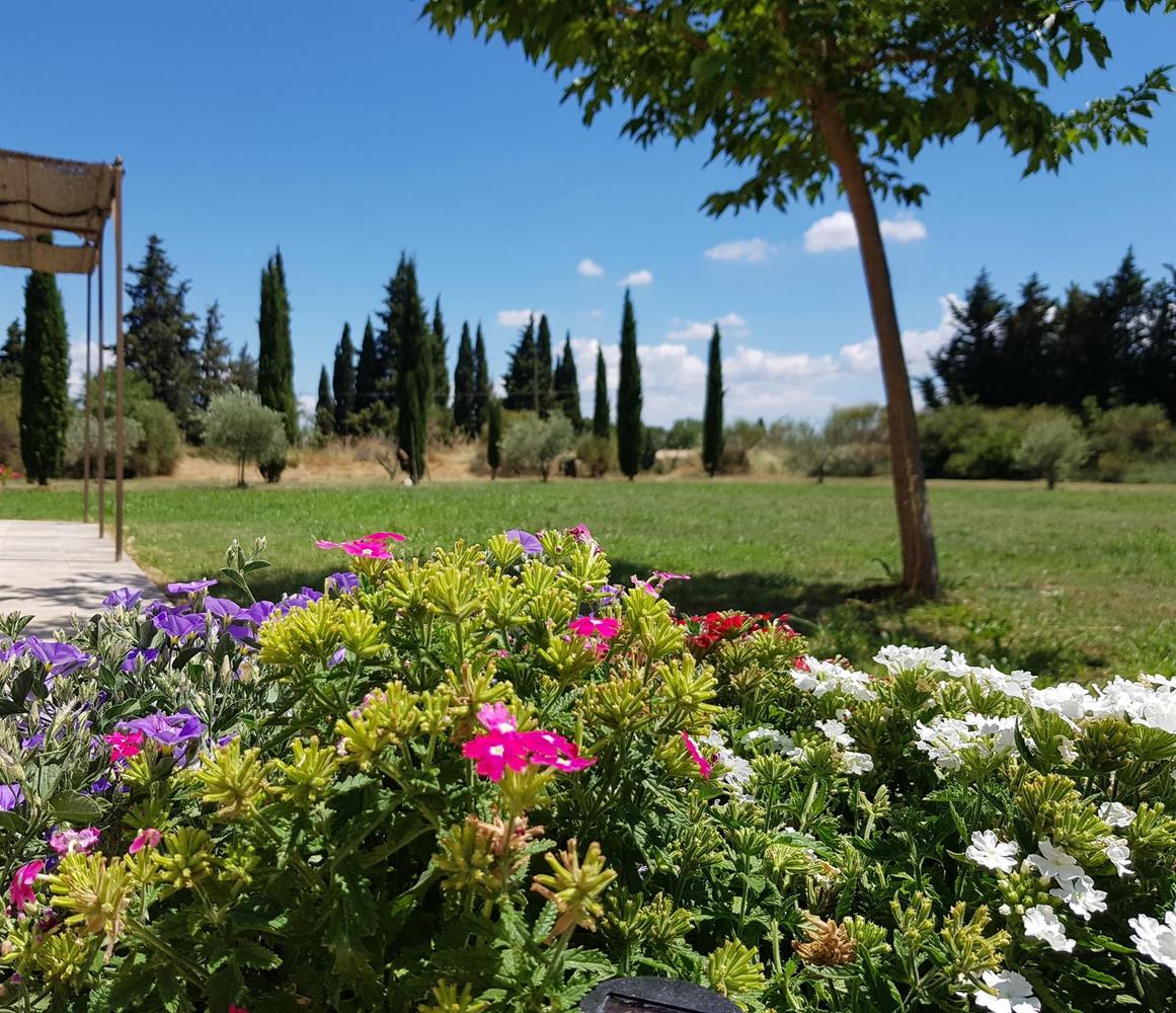 La Coccinelle d'Emilie, Noves - photo 58