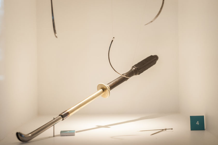 Musée Claude Bernard