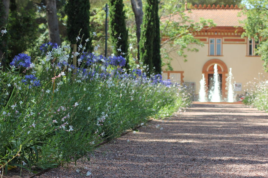 Jardin botanique de la Maison du Cygne