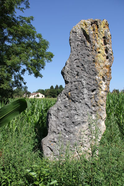 Menhir de Pierre Fiche - Simandre-sur-Suran Menhir de Pierre Fiche - Simandre-sur-Suran