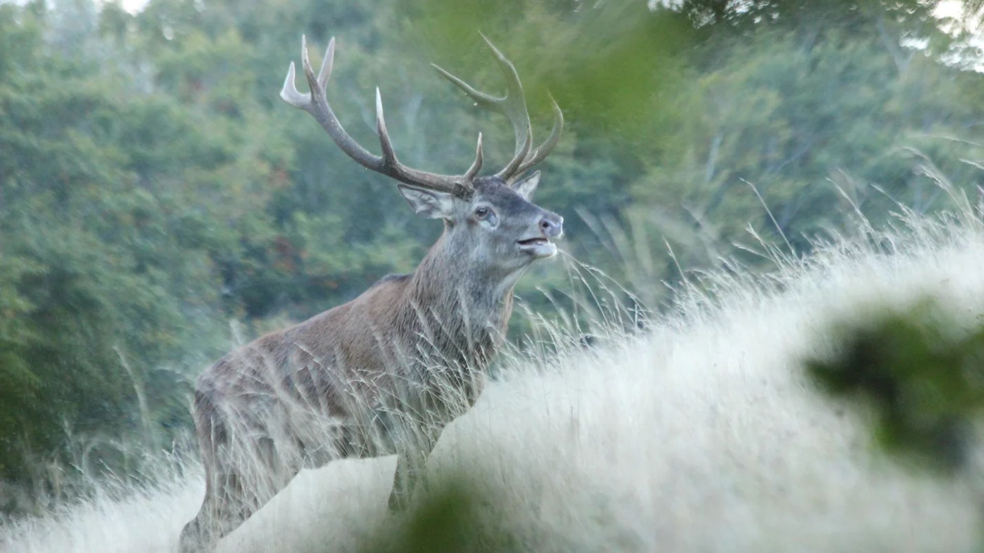Sortie nature