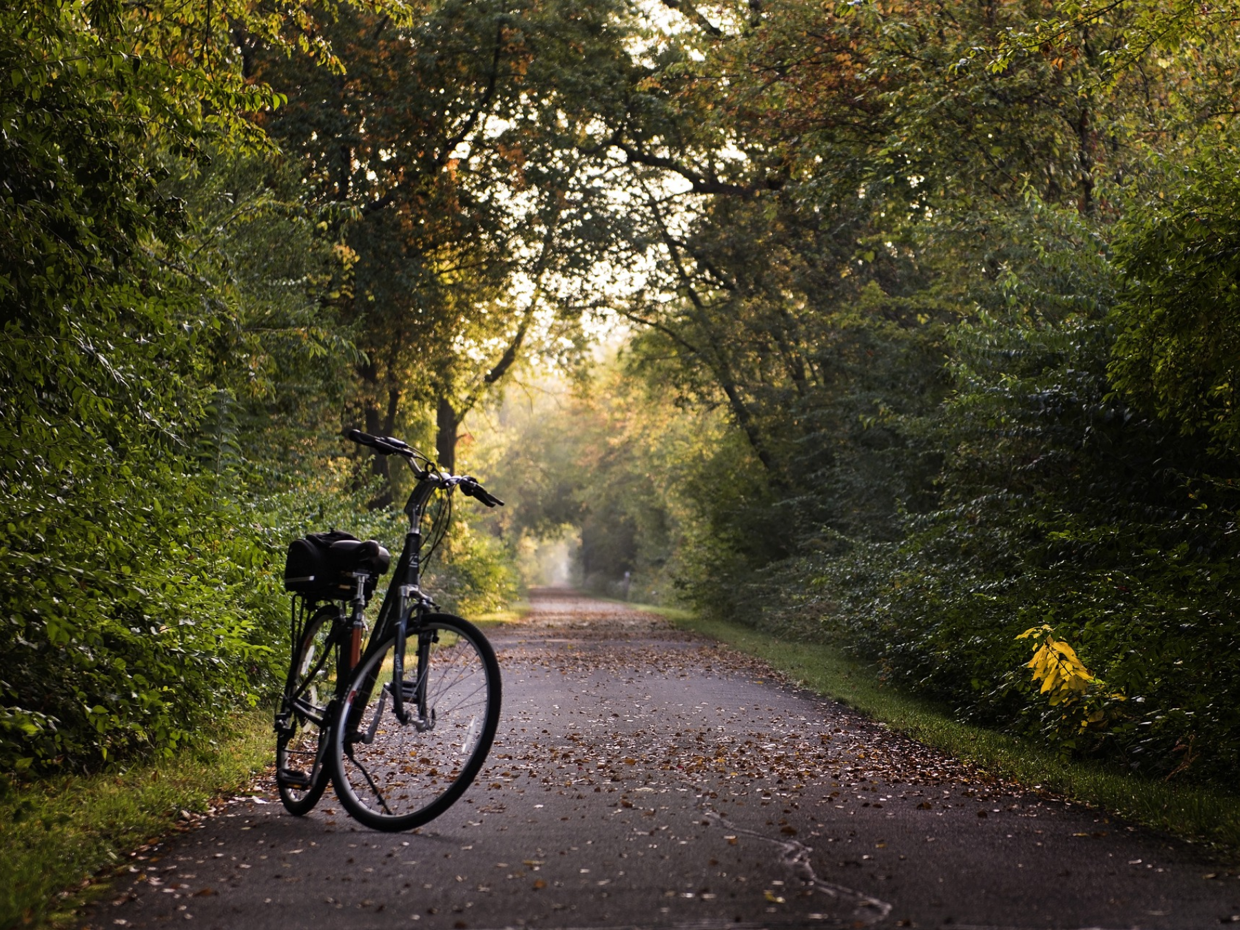 Circuit long  - La Vélo Ciré