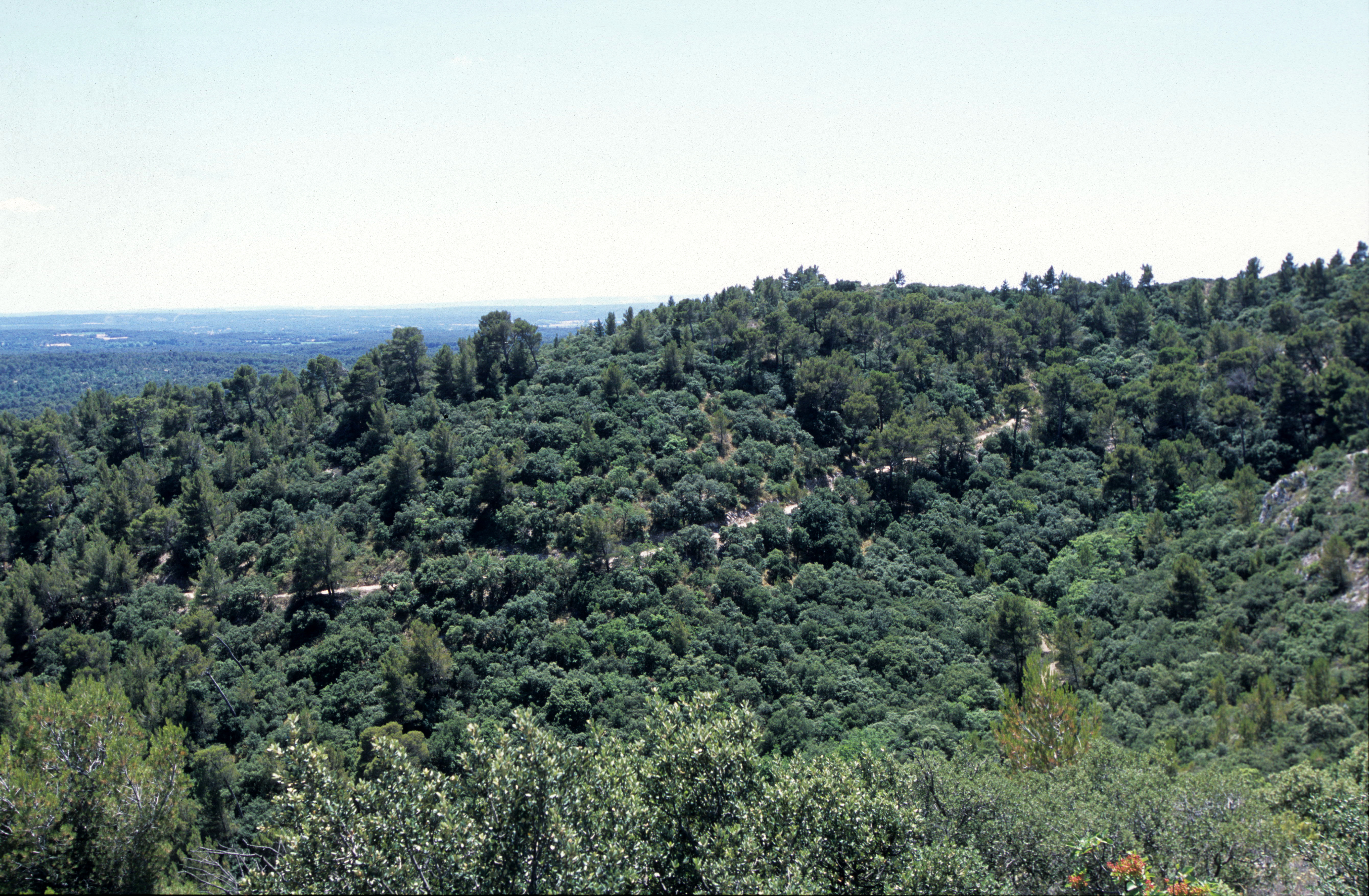 Rognes : Caireval - circuit VTT 1, Rognes - photo 5