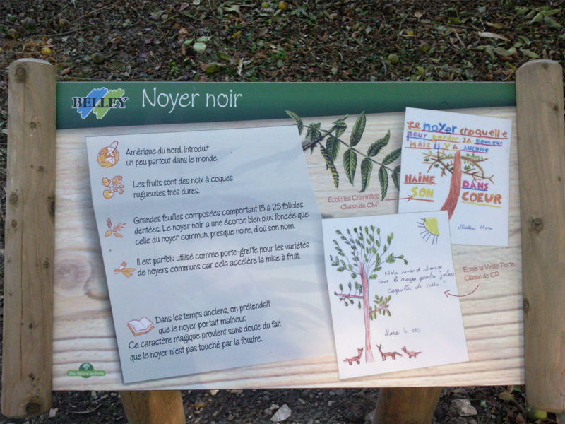 Forêt de Rothonne panneaux d'interprétation arboretum