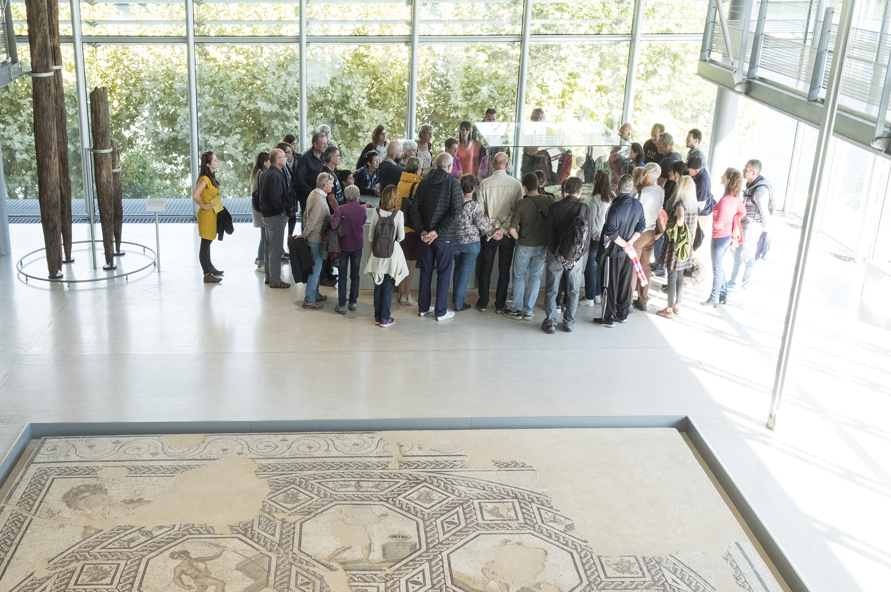 Visite guidée : Musée_Saint-Romain-en-Gal