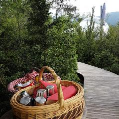 petit Déjeuner petit Déjeuner