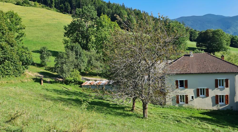 Vue du gîte de la Berthuinière entourée de prés à Saint-Martin-en-Vercors