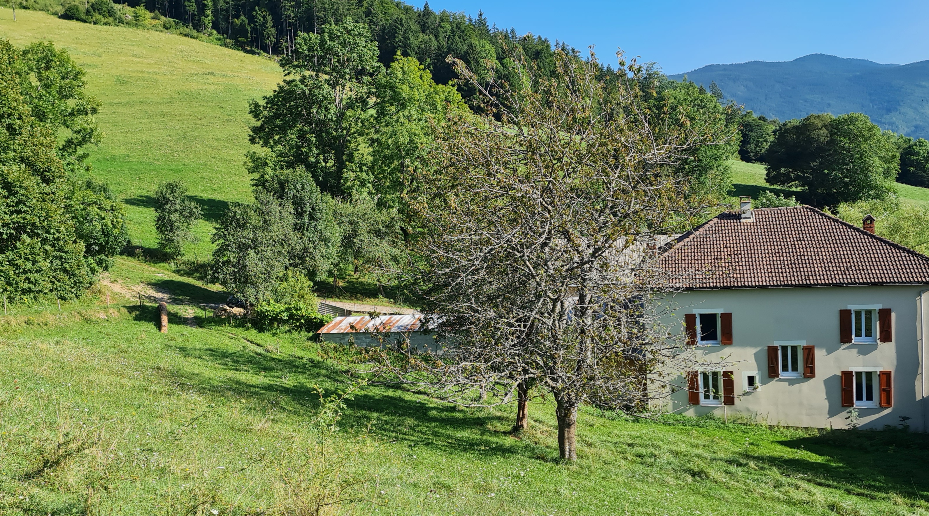 Vue du gîte de la Berthuinière entourée de prés à Saint-Martin-en-Vercors