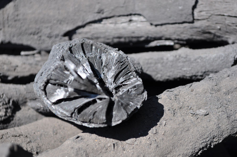 Construction-d-une-charbonniere