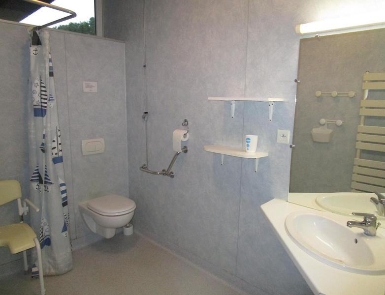 Salle d'eau / WC adaptée
Gîte rural Beaumoulin (n°254)
- La Madeleine sur Loing -