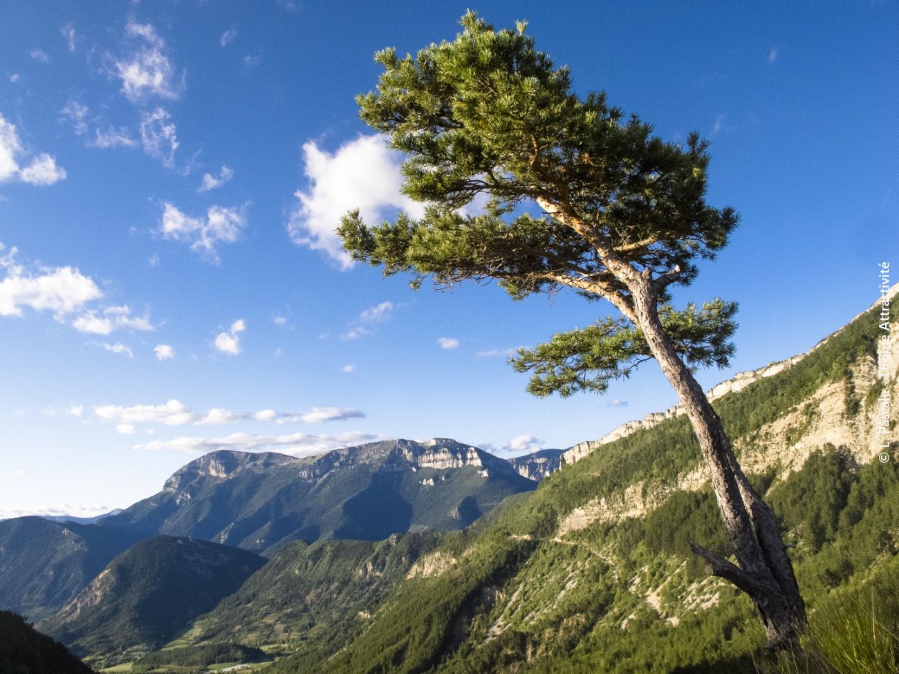 La Grésière