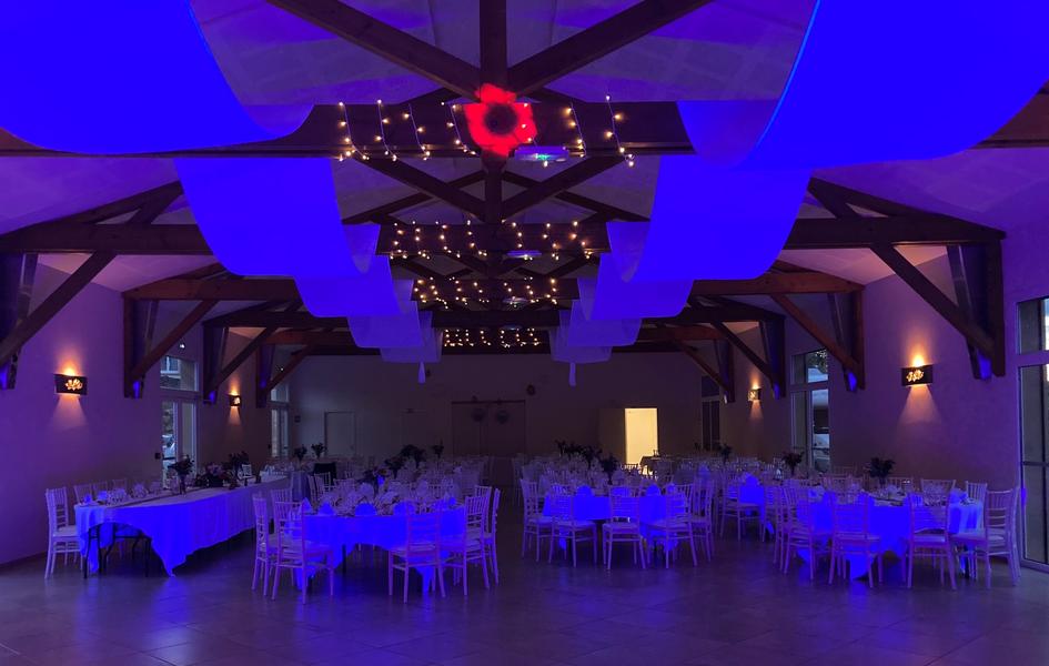 Château des Pertonnières