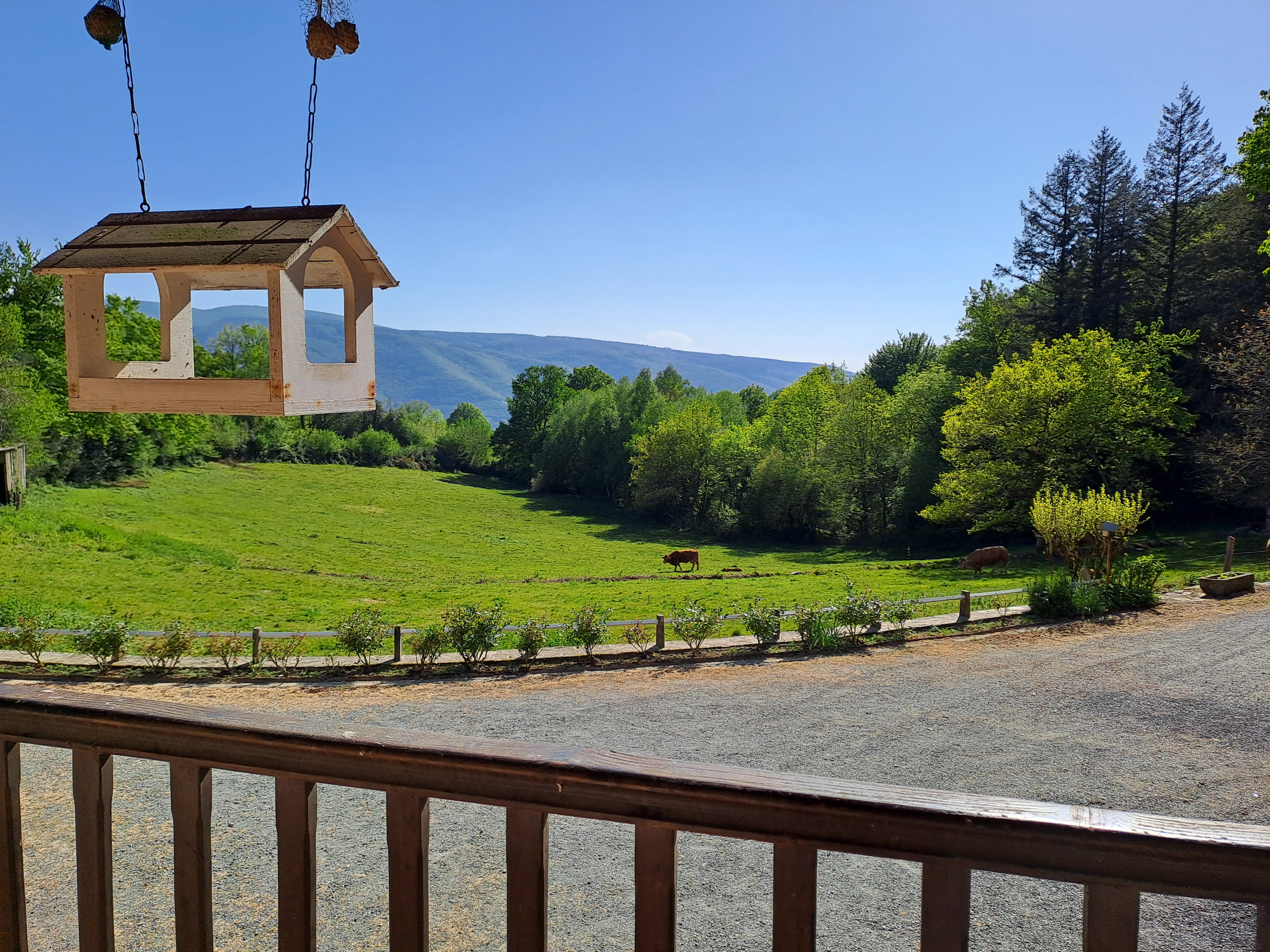La Sagne_Saint-Amans-Valtoret