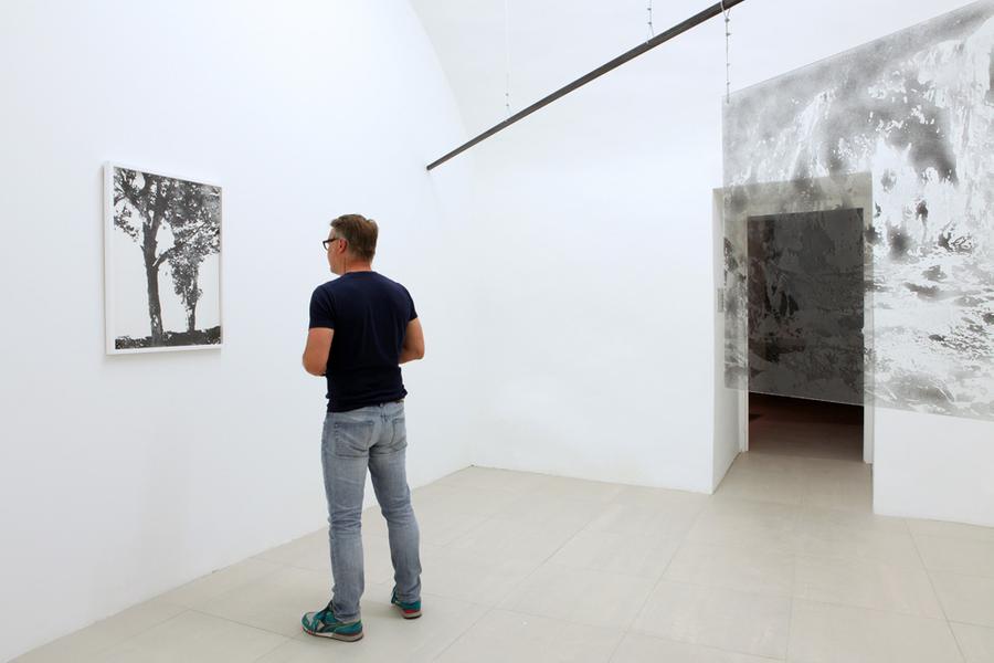 Vue de l'exposition de Nicolas Daubanes